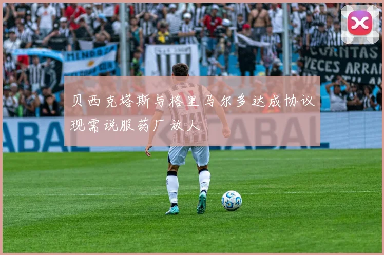 贝西克塔斯与格里马尔多达成协议现需说服药厂放人